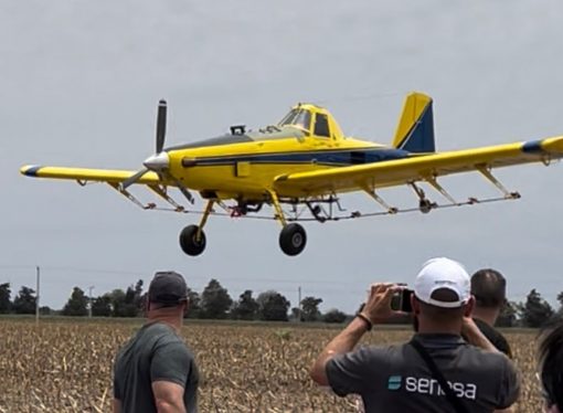 El «modelo argentino» de control de langostas que hoy mira el mundo