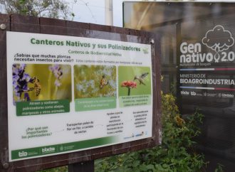 Córdoba fortalece su pulmón verde: se inauguró el sexto multiplicador de árboles nativos en la Capital