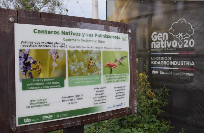 Córdoba fortalece su pulmón verde: se inauguró el sexto multiplicador de árboles nativos en la Capital