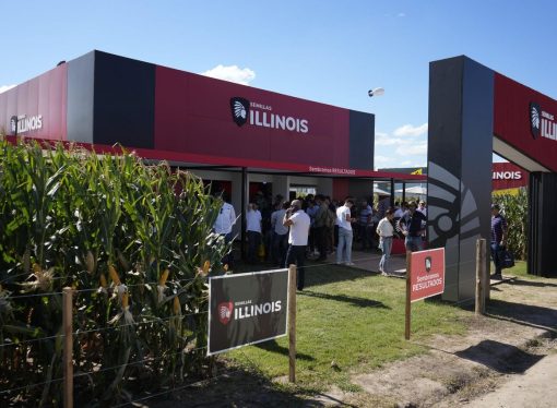 Semillas ILLINOIS proyecta duplicar sus ventas de maíz para 2030 con una fuerte apuesta a la especialización