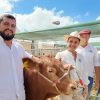 Limousin pisó fuerte en Expoagro 2026: genética de vanguardia y el festejo de sus 60 años en el país