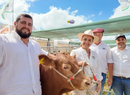 Limousin pisó fuerte en Expoagro 2026: genética de vanguardia y el festejo de sus 60 años en el país