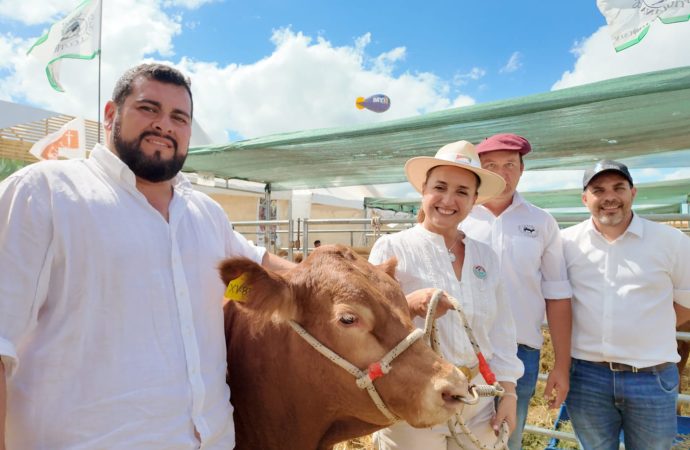 Limousin pisó fuerte en Expoagro 2026: genética de vanguardia y el festejo de sus 60 años en el país