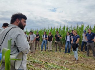Silaje de precisión: La Mesa Ganadera CREA Córdoba Norte analizó el potencial del sorgo y el maíz en su gira anual
