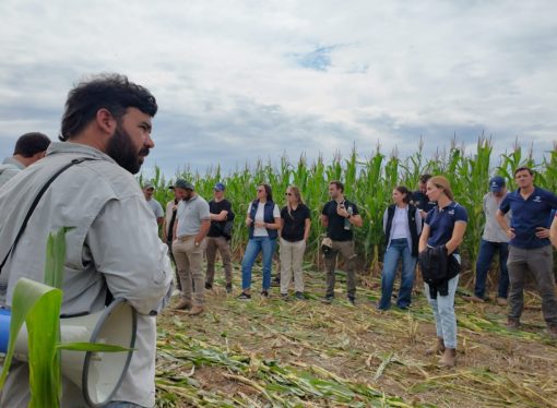 Silaje de precisión: La Mesa Ganadera CREA Córdoba Norte analizó el potencial del sorgo y el maíz en su gira anual