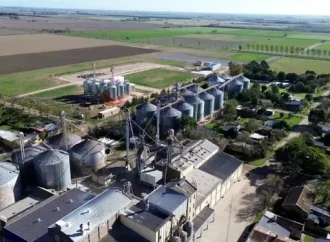 La Región Centro reclamó a Nación diferenciar el trigo de especialidad para potenciar las exportaciones con valor agregado