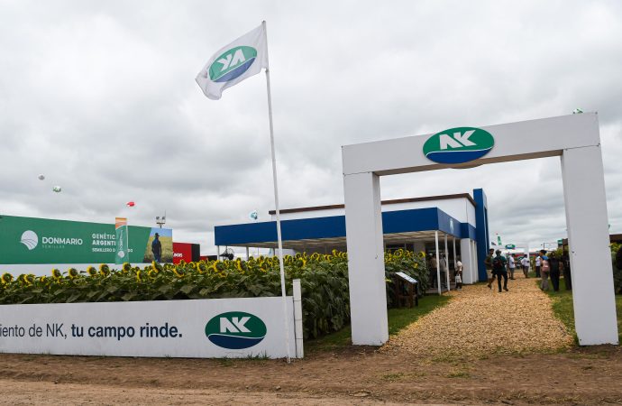 Innovación y estabilidad: Las claves de NK para potenciar los rindes de maíz y girasol