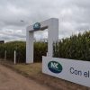 Innovación y estabilidad: Las claves de NK para potenciar los rindes de maíz y girasol