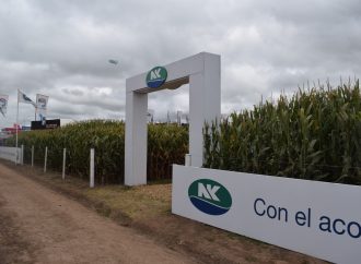 Innovación y estabilidad: Las claves de NK para potenciar los rindes de maíz y girasol