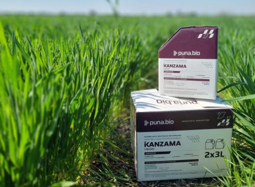 Biotecnología extremófila: Puna Bio redefine los rendimientos agrícolas en Expoagro 2026