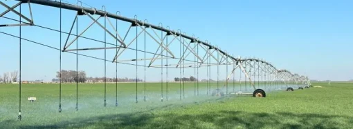 Fruteá Tu Escuela celebra diez años combatiendo la malnutrición infantil con creatividad y sabor