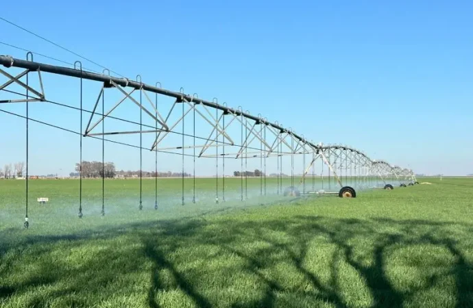 El riego como motor de desarrollo: Argentina podría producir 5 millones de toneladas extra y generar miles de empleos