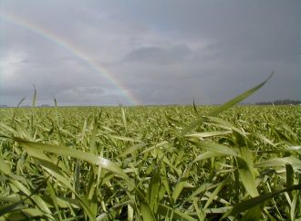 Innovación y eficiencia hídrica: Santa Rosa se prepara para el Simposio Regional FERTILIDAD 2026