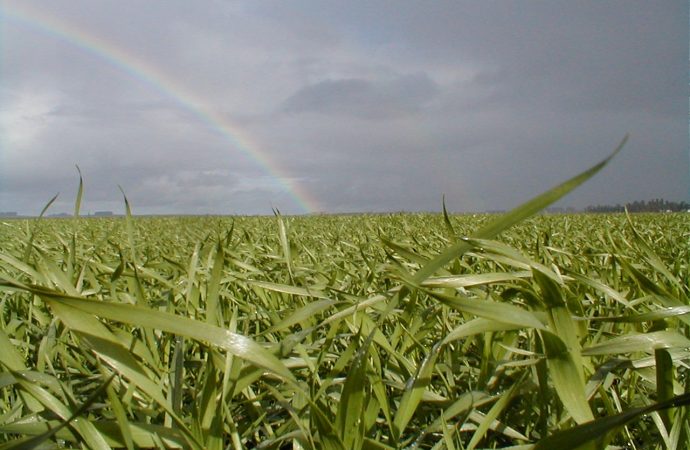 Innovación y eficiencia hídrica: Santa Rosa se prepara para el Simposio Regional FERTILIDAD 2026