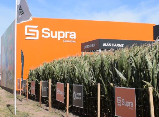 SUPRA Semillas fortaleció su propuesta técnica y comercial en Expoagro con el foco puesto en la eficiencia del productor