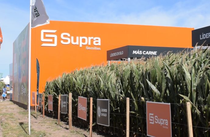 SUPRA Semillas fortaleció su propuesta técnica y comercial en Expoagro con el foco puesto en la eficiencia del productor