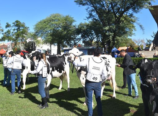 TodoLáctea 2026: Un experto de clase mundial llega a San Francisco para la gran jura de vacas lecheras