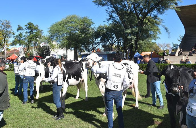 TodoLáctea 2026: Un experto de clase mundial llega a San Francisco para la gran jura de vacas lecheras