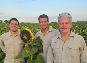 Zeta Semillas, la empresa argentina que cumple 20 años consolidando su participación en el mercado genético