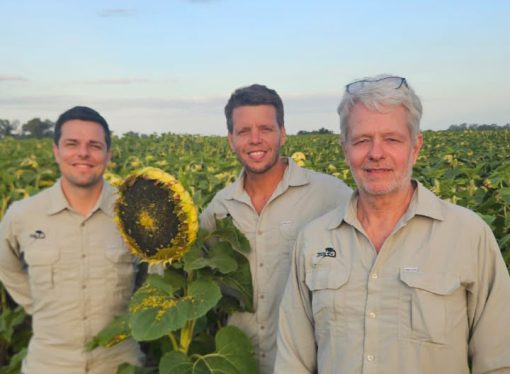 Zeta Semillas, la empresa argentina que cumple 20 años consolidando su participación en el mercado genético