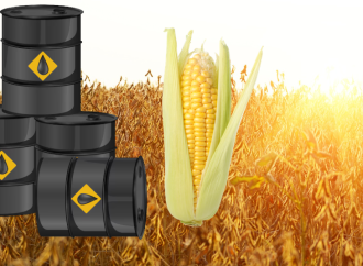 Petróleo a US$ 100 y tensión global: ¿Cómo impacta en el precio de los granos?
