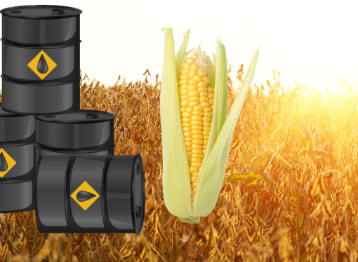 Petróleo a US$ 100 y tensión global: ¿Cómo impacta en el precio de los granos?