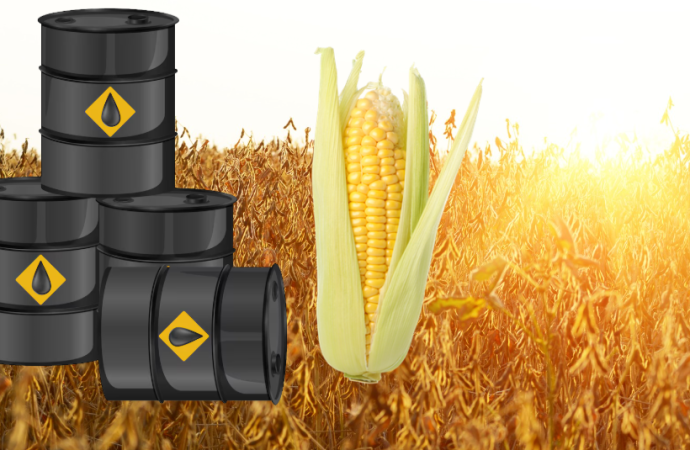 Petróleo a US$ 100 y tensión global: ¿Cómo impacta en el precio de los granos?
