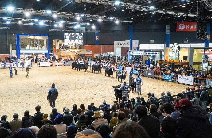 La ganadería argentina tiene una gran cita en Palermo: todo listo para la Expo Angus de Otoño 2026