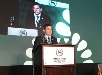 El girasol argentino ante un salto histórico: producción récord y proyecciones de un «mar» dorado