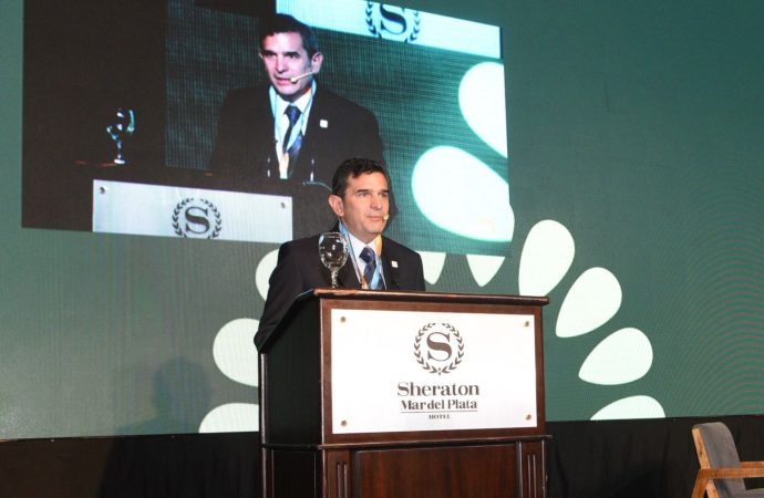 El girasol argentino ante un salto histórico: producción récord y proyecciones de un «mar» dorado