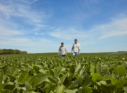 BASF consolida su liderazgo en control biológico con la adquisición total de AgBiTech