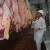 Carne de búfalo: la apuesta estratégica que conquista paladares en Chile y revoluciona los campos difíciles de Argentina