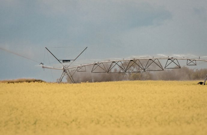 Córdoba impulsa la producción agroindustrial con una fuerte reducción impositiva para el riego