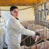Impulso a la producción porcina: Abre la inscripción para la cuarta cohorte de la diplomatura en la FCA