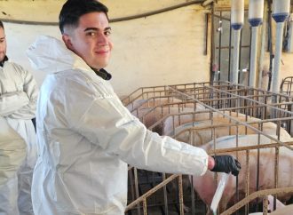 Impulso a la producción porcina: Abre la inscripción para la cuarta cohorte de la diplomatura en la FCA