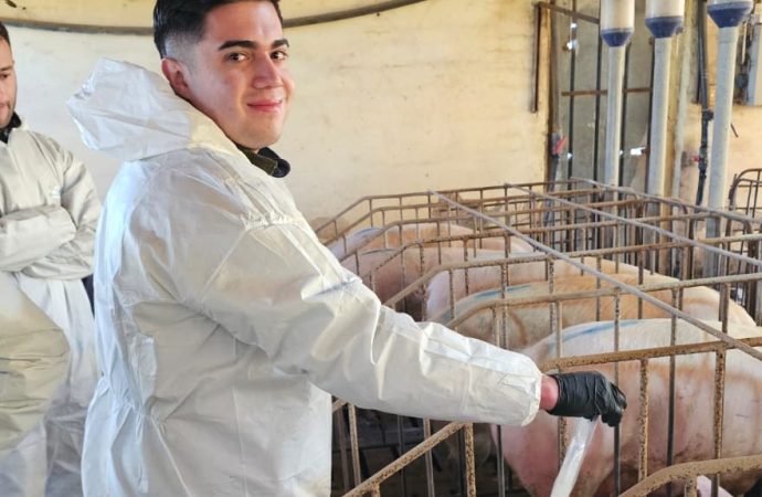 Impulso a la producción porcina: Abre la inscripción para la cuarta cohorte de la diplomatura en la FCA