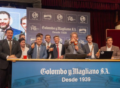 Remate Récord en Banco Nación: se remataron más de 36.000 cabezas de ganado en una jornada federal