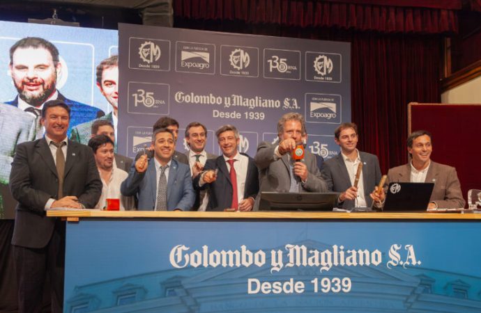 Remate Récord en Banco Nación: se remataron más de 36.000 cabezas de ganado en una jornada federal