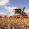 Eficiencia en el lote: Cosechar con CLAAS permite un ahorro de hasta $630.000 por día