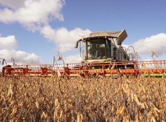 Eficiencia en el lote: Cosechar con CLAAS permite un ahorro de hasta $630.000 por día