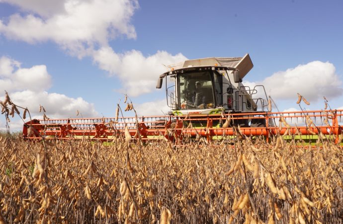 Eficiencia en el lote: Cosechar con CLAAS permite un ahorro de hasta $630.000 por día