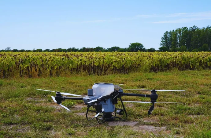 Agricultura de precisión: drones y algoritmos logran reducir a la mitad el uso de fertilizantes