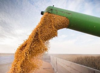 Maíz y trigo marcan el ritmo alcista en una jornada impulsada por el clima y la geopolítica