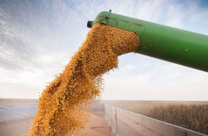 Maíz y trigo marcan el ritmo alcista en una jornada impulsada por el clima y la geopolítica