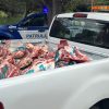 Operativos en Córdoba: incautan 1.700 kilos de carne clandestina y clausuran 12 establecimientos