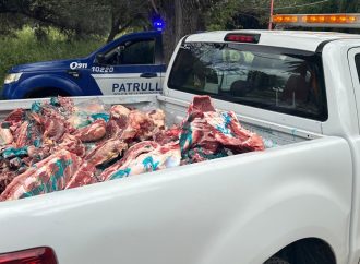 Operativos en Córdoba: incautan 1.700 kilos de carne clandestina y clausuran 12 establecimientos
