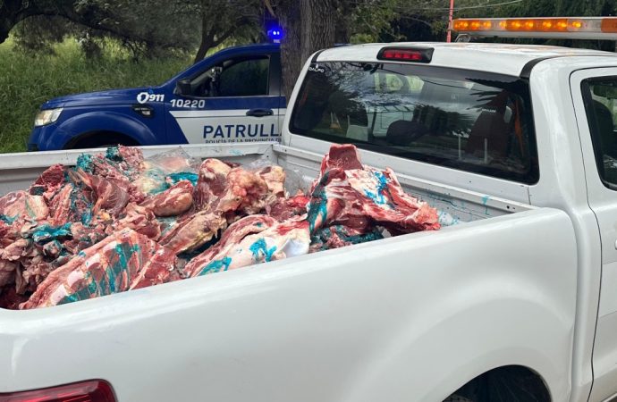 Operativos en Córdoba: incautan 1.700 kilos de carne clandestina y clausuran 12 establecimientos