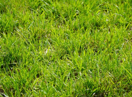 Innovación y eficiencia hídrica: Santa Rosa se prepara para el Simposio Regional Fertilidad 2026