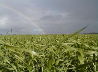 La Pampa se prepara para el Simposio Regional FERTILIDAD 2026: el foco puesto en la eficiencia hídrica y la nutrición de cultivos