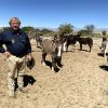 El «oro blanco» de Catamarca: La leche de burra desembarca en TodoLáctea 2026 como la gran apuesta terapéutica